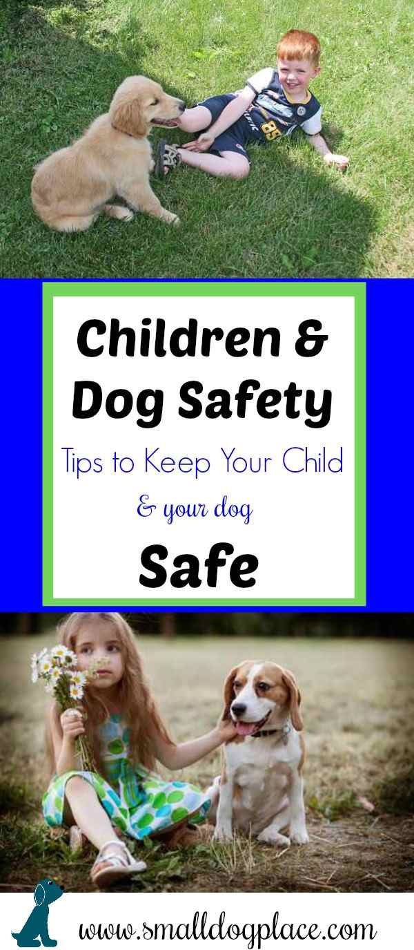 Children and Dogs can play safely together with a little help from an adult.