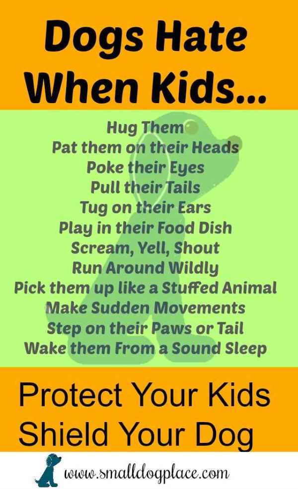 Children and Dog Safety:  Checklist of things that Dogs Don't Like