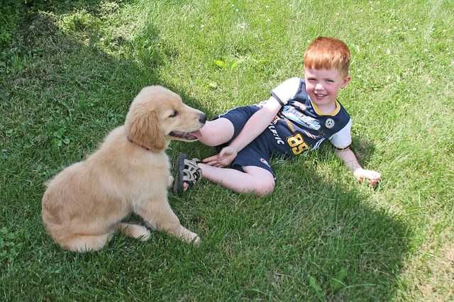 A boy is playing in the grass with his dog.