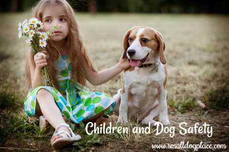 A small girl and her dog are enjoying each other's company in a safe way.
