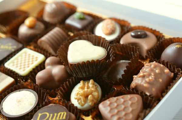 Chocolate is not a food that dogs should eat. Chocolate is not a food that dogs should eat. Showing is a box of chocolate.