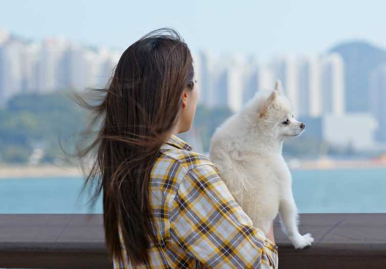 A woman and her white pomeranian are looking out at the city skyline A woman and her white pomeranian are looking out at the city skyline