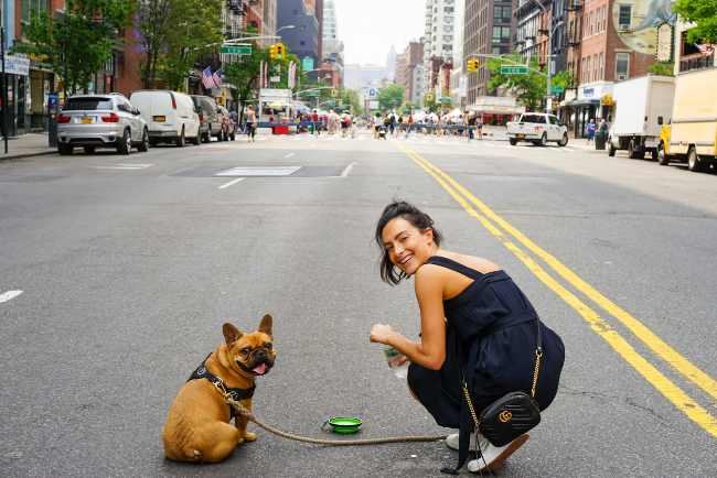 City dog training includes teaching your dog to be comfortable in the city.