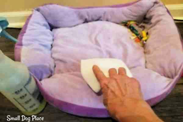 Spot Clean a Dog Bed The dog bed is being spot cleaned of excess dirt and debris.