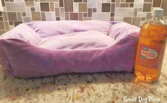 Dog Bed and Apple Cider Vinegar