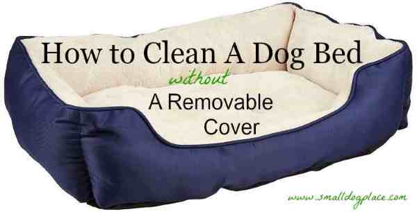 How to Clean A Dog Bed Without a Removable Cover