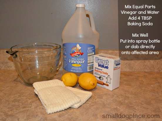 Cleaning Solution for Dog Odors Recipe for a cleaning solution