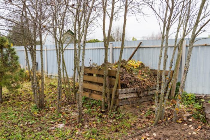 Compost pile for getting rid of dog poop