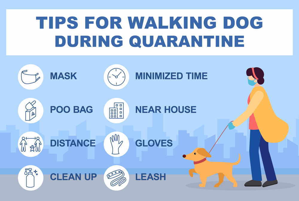 Tips for walking a dog during a pandemic:  Illustration