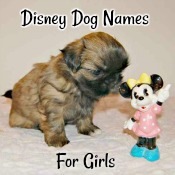 Disney Dog Names for Girls