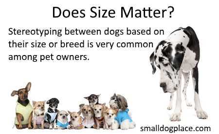 why large dogs are better than small dogs