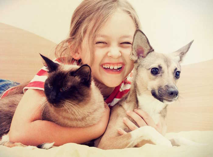 A child is hugging a cat and a dog