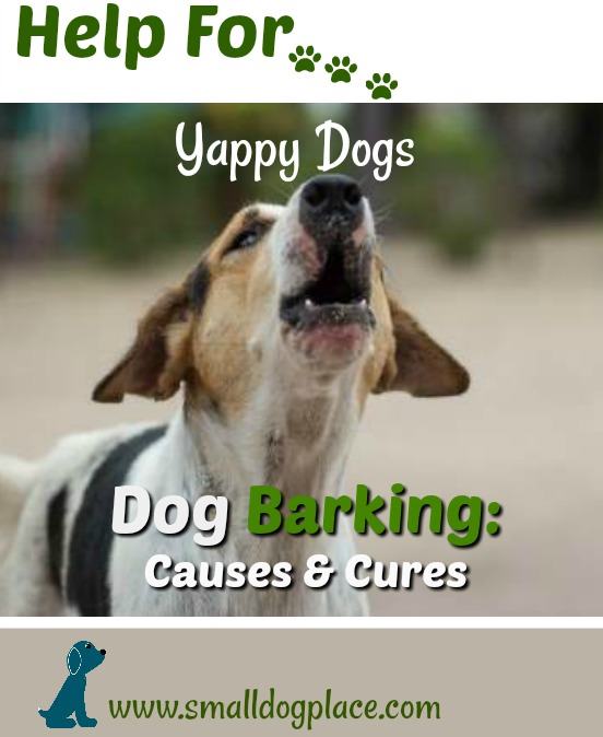 Quiet a yappy dog:  Dog Barking:  Causes and Cures