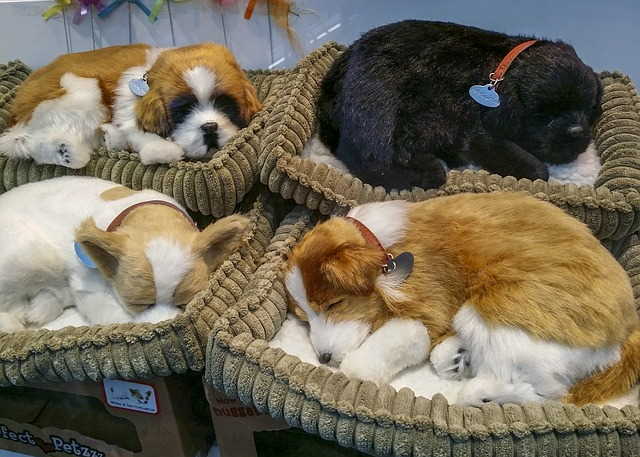 4 dogs are sleeping in dog beds