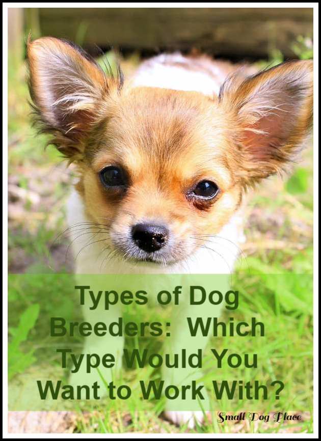 Types of Dog Breeders