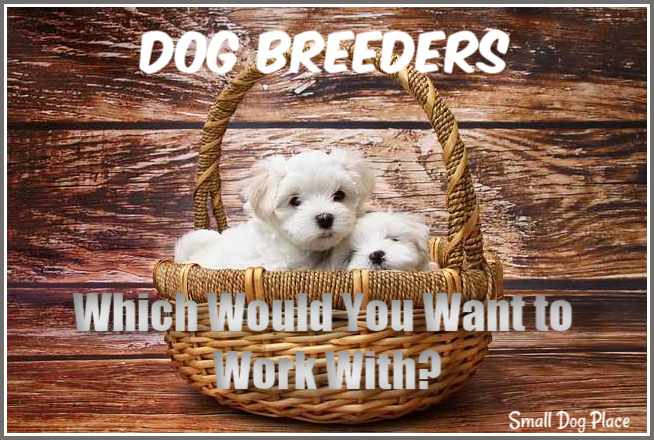 how much does a dog breeder make