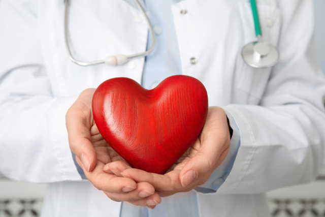 A dog can promote healthy living and improve heart-heath. A doctor is holding a wooden heart