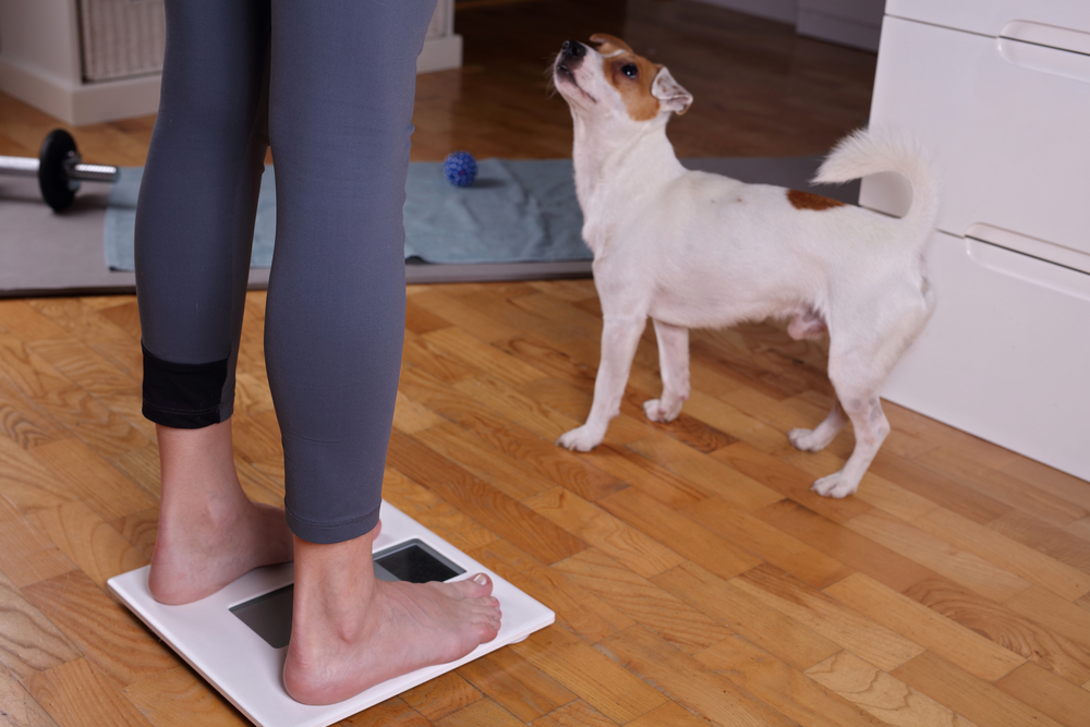 Your dog can promote healthy living by helping you lose weight.