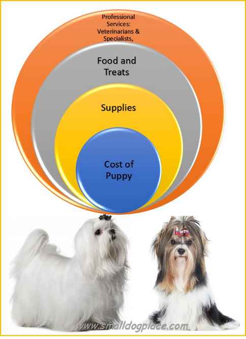 cost of maintaining a dog