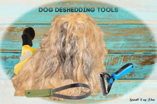 Collage of dog hair and deshedding tools