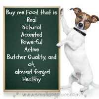 Claims Big Dog Food Companies Make to Deceive You
