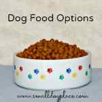 Dog Food Options