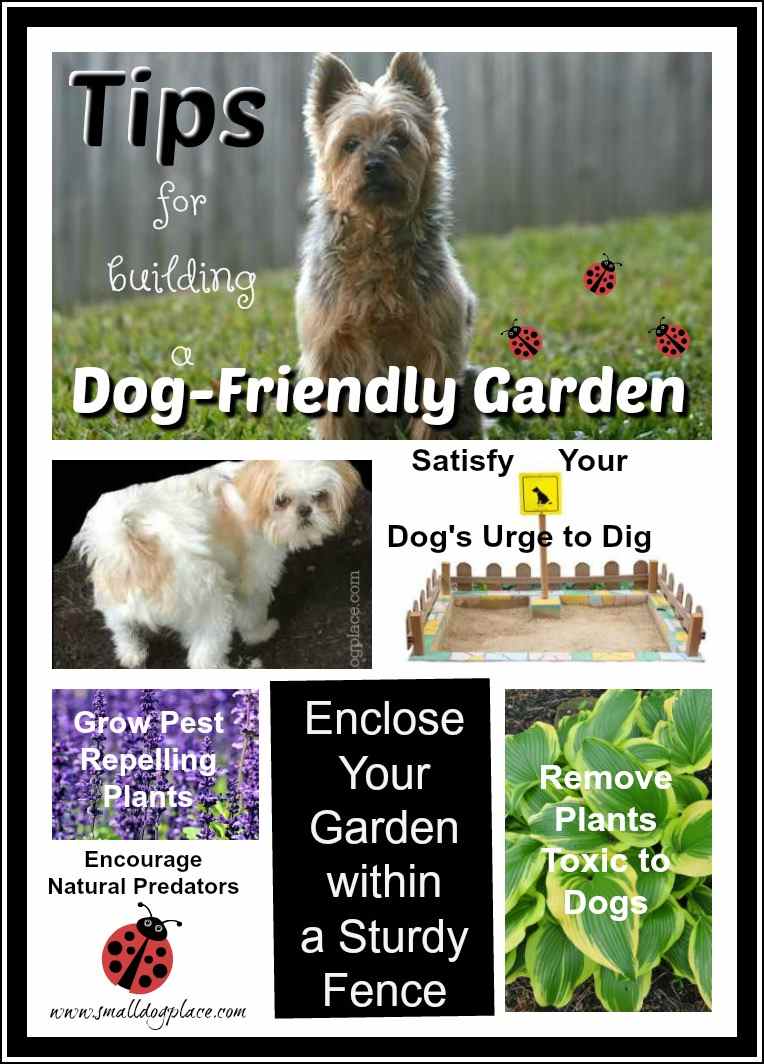 Tips for building a Dog Friendly Garden