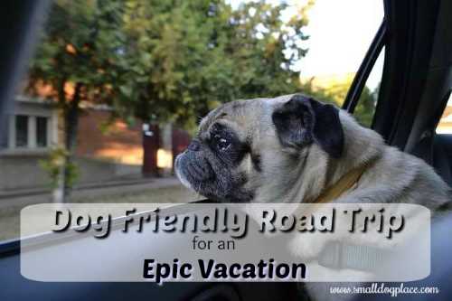 Dog Friendly Road Trip Planner