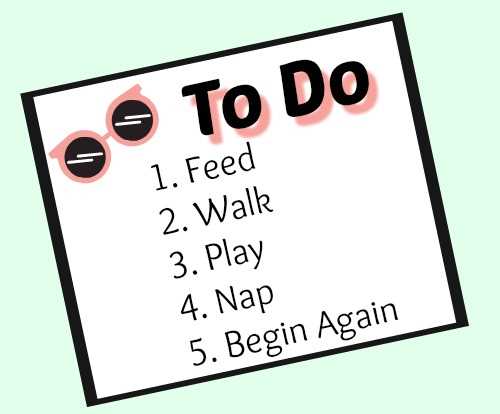 While on your dog friendly road trip, try to keep your dog's routine as normal as possible. While on your dog friendly road trip, try to keep your dog's routine as normal as possible.