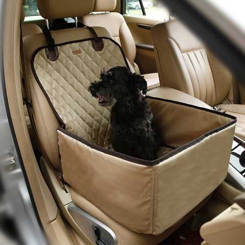 The safest way for a dog to travel is securely fastened in a car seat.