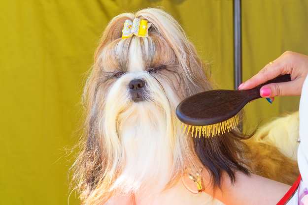 When dog grooming with hair clippers, don't neglect combing and brushing.