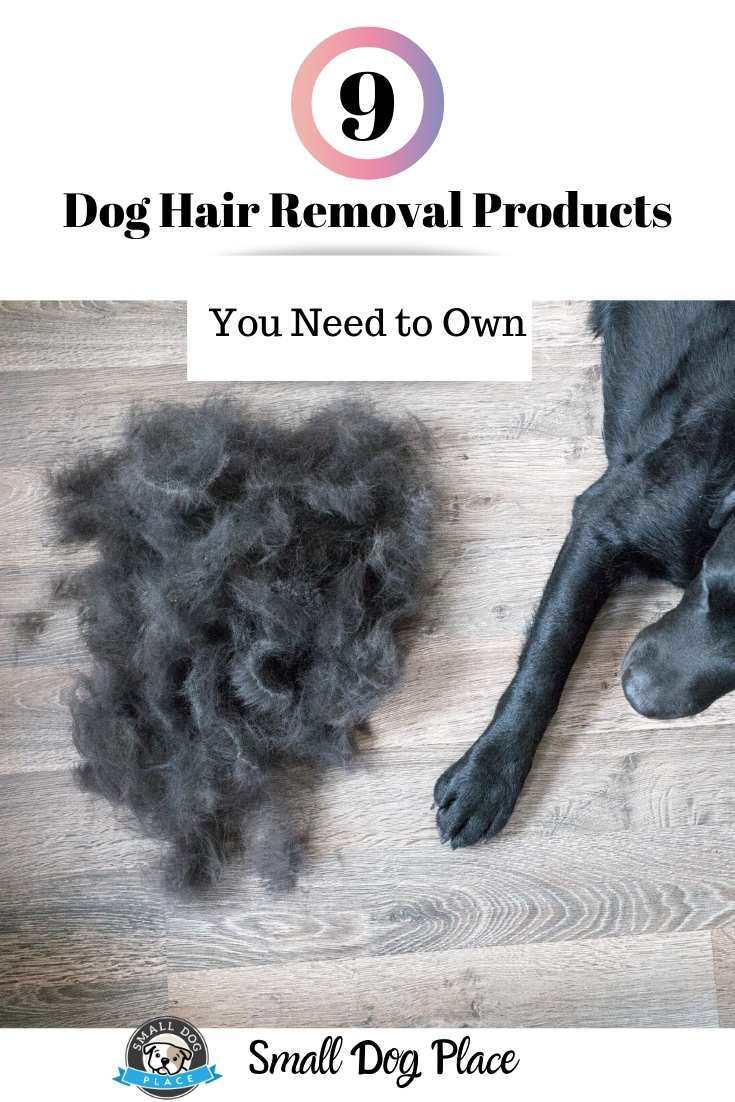 Dog Hair Removal Products Pin