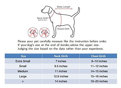 how tight should a dog harness fit