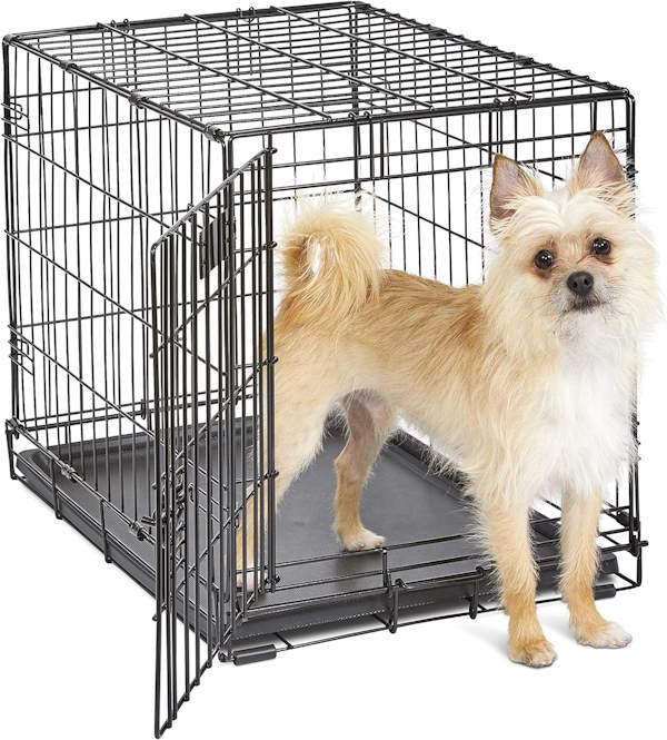 A small dog is standing in front of a dog crate A small dog is standing in front of a dog crate