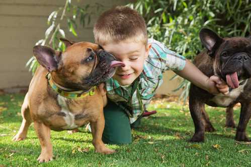 Why do dogs lick people?  Should I allow this behavior?