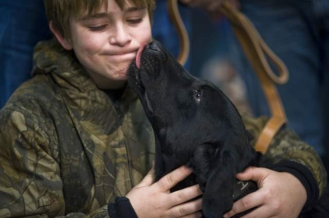 Why do Dogs Lick People?