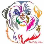 Dog Names Based on Color