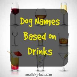 Disney Dog Names For Boys