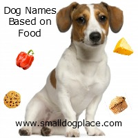 Food-Inspired Pet Names  Cute pet names, Cute animal names, Cute puppy  names