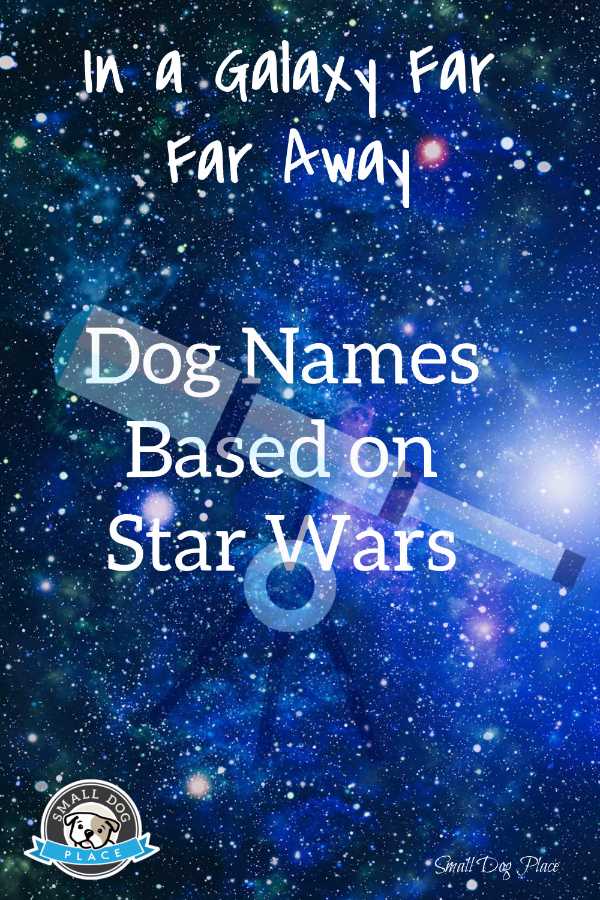 Dog Names based on Star Wars - pin image of the galaxy