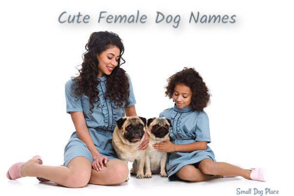 Dog Names Female;  Two pugs and two girls