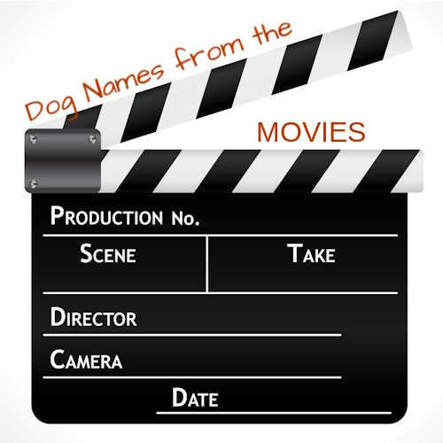 A movie clapper on white background with words Dog Names for Movies