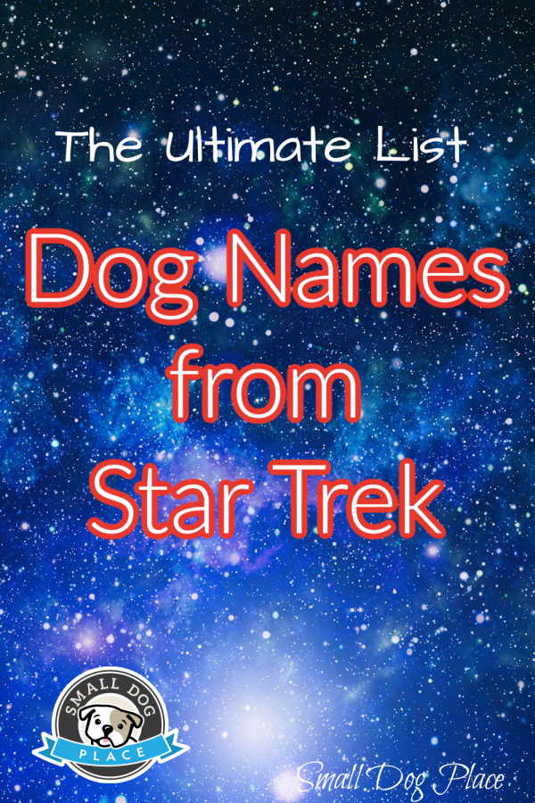 Dog Names from Star Trek Pin Image