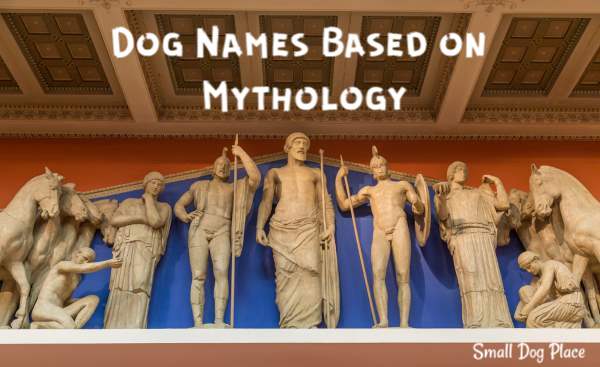 Dog Names based on Mythology