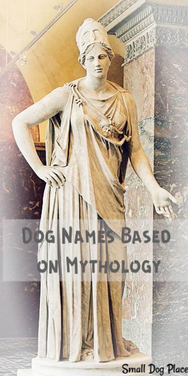 Dog Names From Mythology Pin