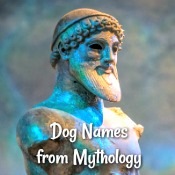 Dog Names from Mythology