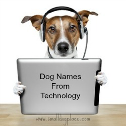 Dog Names Based on Technology