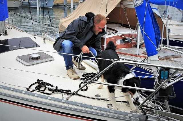 A man and his dog on the deck of a sailboat.