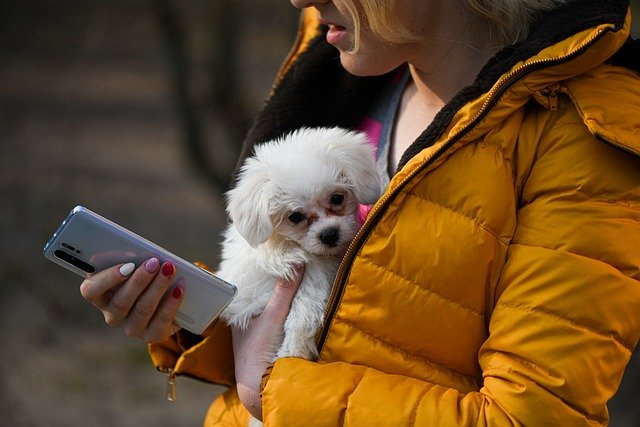 A woman holding a small dog and speaking on her phone.