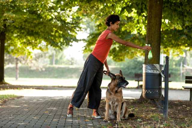 A woman is walking her dog and cleaning up after him.